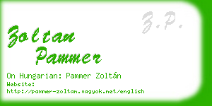 zoltan pammer business card